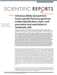 Infectious Dnas Derived from Insect-Specific Flavivirus