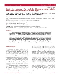 Spc24 Is Required for Meiotic Kinetochore-Microtubule Attachment and Production of Euploid Eggs