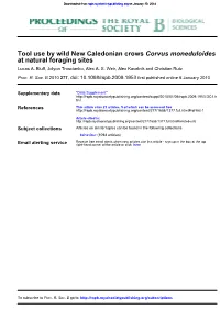 At Natural Foraging Sites Corvus Moneduloides Tool Use by Wild New Caledonian Crows