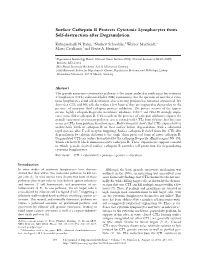 Surface Cathepsin B Protects Cytotoxic Lymphocytes from Self-Destruction After Degranulation