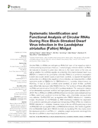 Systematic Identification and Functional Analysis of Circular
