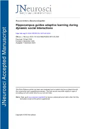 Hippocampus Guides Adaptive Learning During Dynamic Social Interactions
