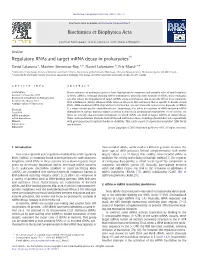 Regulatory Rnas and Target Mrna Decay in Prokaryotes☆