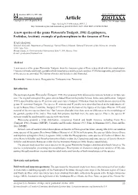 A New Species of the Genus Watsonidia Toulgoët, 1981 (Lepidoptera, Erebidae, Arctiini): Example of Polymorphism in the Amazon of Peru