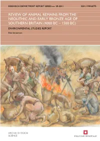 Neolithic Report