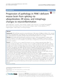 Progression of Pathology in PINK1-Deficient Mouse Brain From