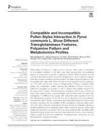 Compatible and Incompatible Pollen-Styles Interaction in Pyrus Communis L