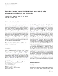 Phylogeny, Morphology and Taxonomy
