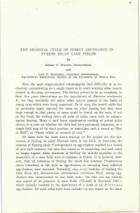 THE SEASONAL CYCLE OP INSECT ABUNDANCE in PUERTO EICAN CANE FIELDS By