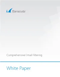 White Paper Barracuda • Comprehensive Email Filtering