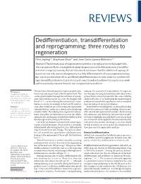 Dedifferentiation, Transdifferentiation and Reprogramming: Three Routes to Regeneration