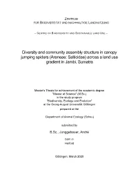 Diversity and Community Assembly Structure in Canopy Jumping Spiders (Araneae: Salticidae) Across a Land Use Gradient in Jambi, Sumatra