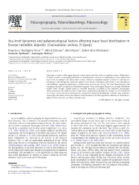 Sea-Level Dynamics and Palaeoecological Factors Affecting Trace Fossil Distribution in Eocene Turbiditic Deposits (Gorrondatxe Section, N Spain)