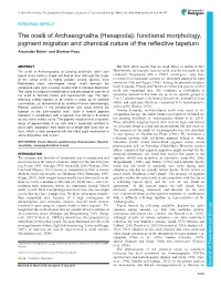The Ocelli of Archaeognatha (Hexapoda): Functional Morphology, Pigment Migration and Chemical Nature of the Reflective Tapetum Alexander Böhm* and Günther Pass