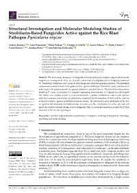 Structural Investigation and Molecular Modeling Studies of Strobilurin-Based Fungicides Active Against the Rice Blast Pathogen Pyricularia Oryzae