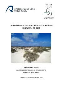 Changes Detected at Corralejo Dune Field from 1994 to 2014