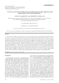 New Discoveries in Eastern Mediterranean Mesophotic Sponge Grounds: Updated Checklist and Description of Three Novel Sponge Species
