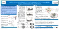 Plasma Protein Binding Structure Activity Relationship Related to the N-Terminus of Daptomycin