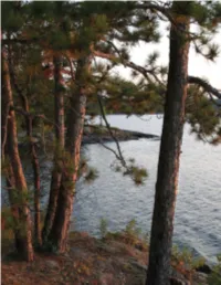 Untrammeled WILDERNESS