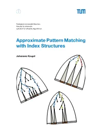 Approximate Pattern Matching with Index Structures