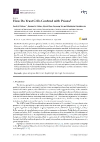How Do Yeast Cells Contend with Prions?