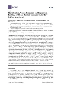 Identification, Characterization and Expression Profiling Of