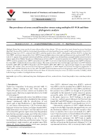 The Prevalence of Seven Crucial Honeybee Viruses Using Multiplex RT-PCR and Their Phylogenetic Analysis