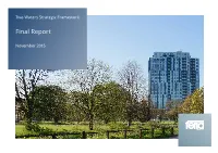 Two Waters Strategic Framework Final Report