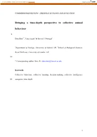 Bringing a Time-Depth Perspective to Collective Animal Behaviour