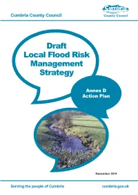 Draft Local Flood Risk Management Strategy