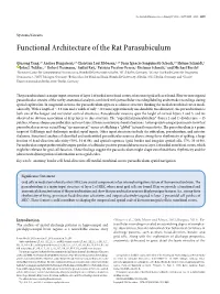 Functional Architecture of the Rat Parasubiculum