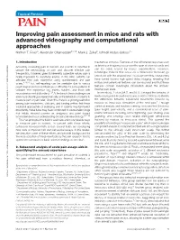 Improving Pain Assessment in Mice and Rats with Advanced Videography and Computational Approaches