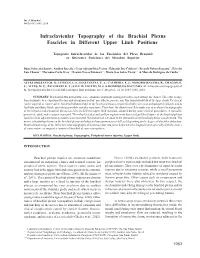Infraclavicular Topography of the Brachial Plexus Fascicles in Different Upper Limb Positions
