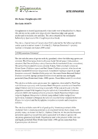 Site Synopsis