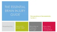 Spinal Cord; Spinal Cord Injury