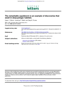 Await in Deep-Pelagic Habitats the Remarkable Squidworm Is An