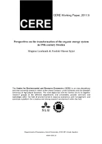 CERE Working Paper, 2017:6 Perspectives on the Transformation