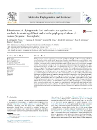 Effectiveness of Phylogenomic Data and Coalescent Species-Tree Methods for Resolving Difficult Nodes in the Phylogeny of Advance