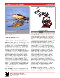 Ixobrychus Exilis (Gmelin) Leastleast Bitternbittern, Page 1