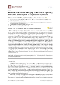 Multicellular Models Bridging Intracellular Signaling and Gene Transcription to Population Dynamics