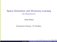 Sparse Estimation and Dictionary Learning (For Biostatistics?)