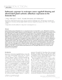 Embryonic Exposure to Oestrogen Causes Eggshell Thinning and Altered Shell Gland Carbonic Anhydrase Expression in the Domestic Hen