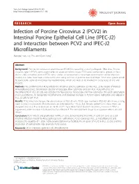 (PCV2) in Intestinal Porcine Epithelial Cell Line (IPEC-J2) and Interaction Between PCV2 and IPEC-J2 Microfilaments Mengfei Yan, Liqi Zhu and Qian Yang*