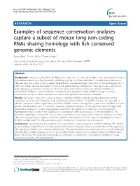 Downloaded Were Considered to Be True Positive While Those from the from UCSC Databases on 14Th September 2011 [70,71]