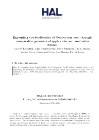 Oenococcus Oeni Through Comparative Genomics of Apple Cider and Kombucha Strains