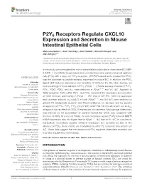 P2Y6 Receptors Regulate CXCL10 Expression and Secretion in Mouse Intestinal Epithelial Cells