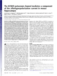 The KCNQ5 Potassium Channel Mediates a Component of the Afterhyperpolarization Current in Mouse Hippocampus