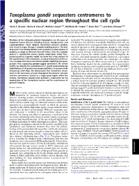 Toxoplasma Gondii Sequesters Centromeres to a Specific Nuclear