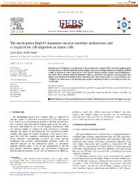 The Nucleoporin Nup153 Maintains Nuclear Envelope Architecture and Is Required for Cell Migration in Tumor Cells