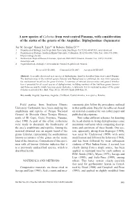 A New Species of Celestus from West-Central Panama, with Consideration of the Status of the Genera of the Anguidae: Diploglossinae (Squamata)